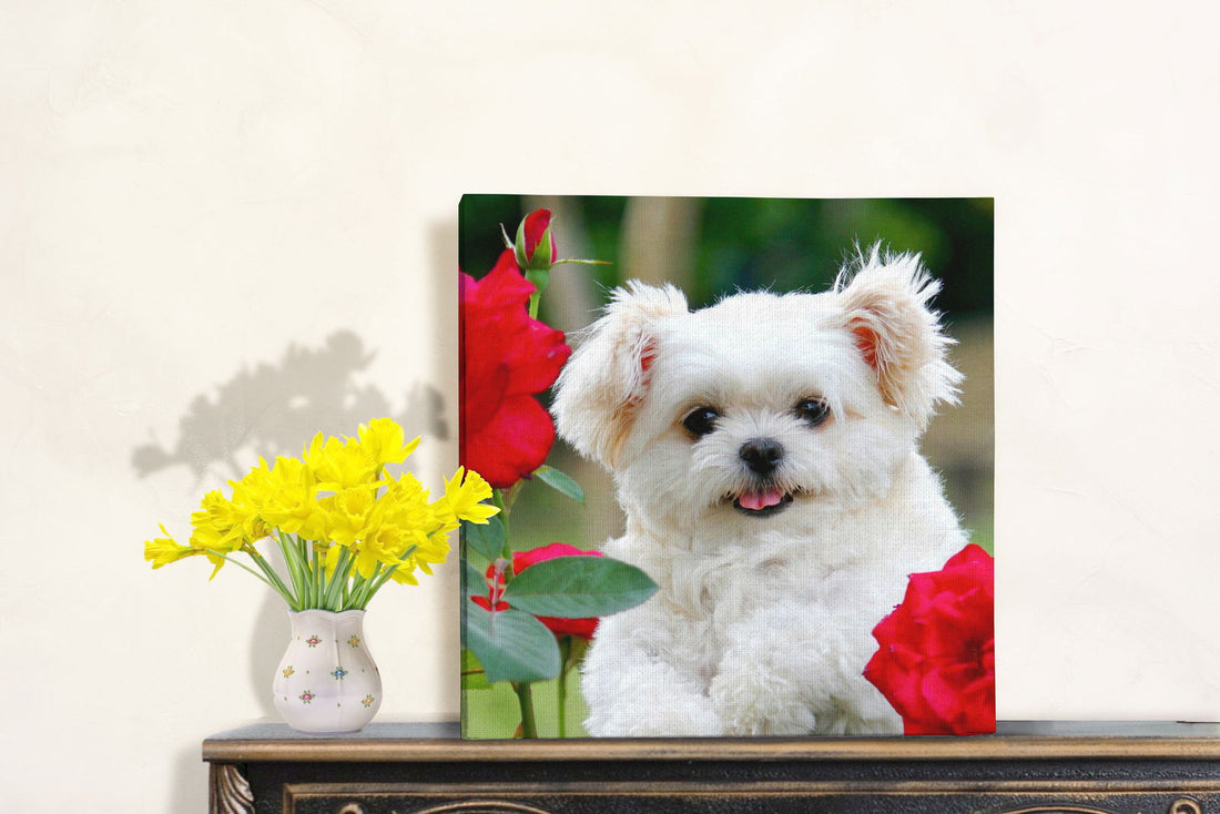 Photo Canvas - Craftellery
