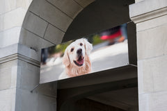 Personalised Banner – Custom Party Banners for Birthdays, Weddings & Celebrations