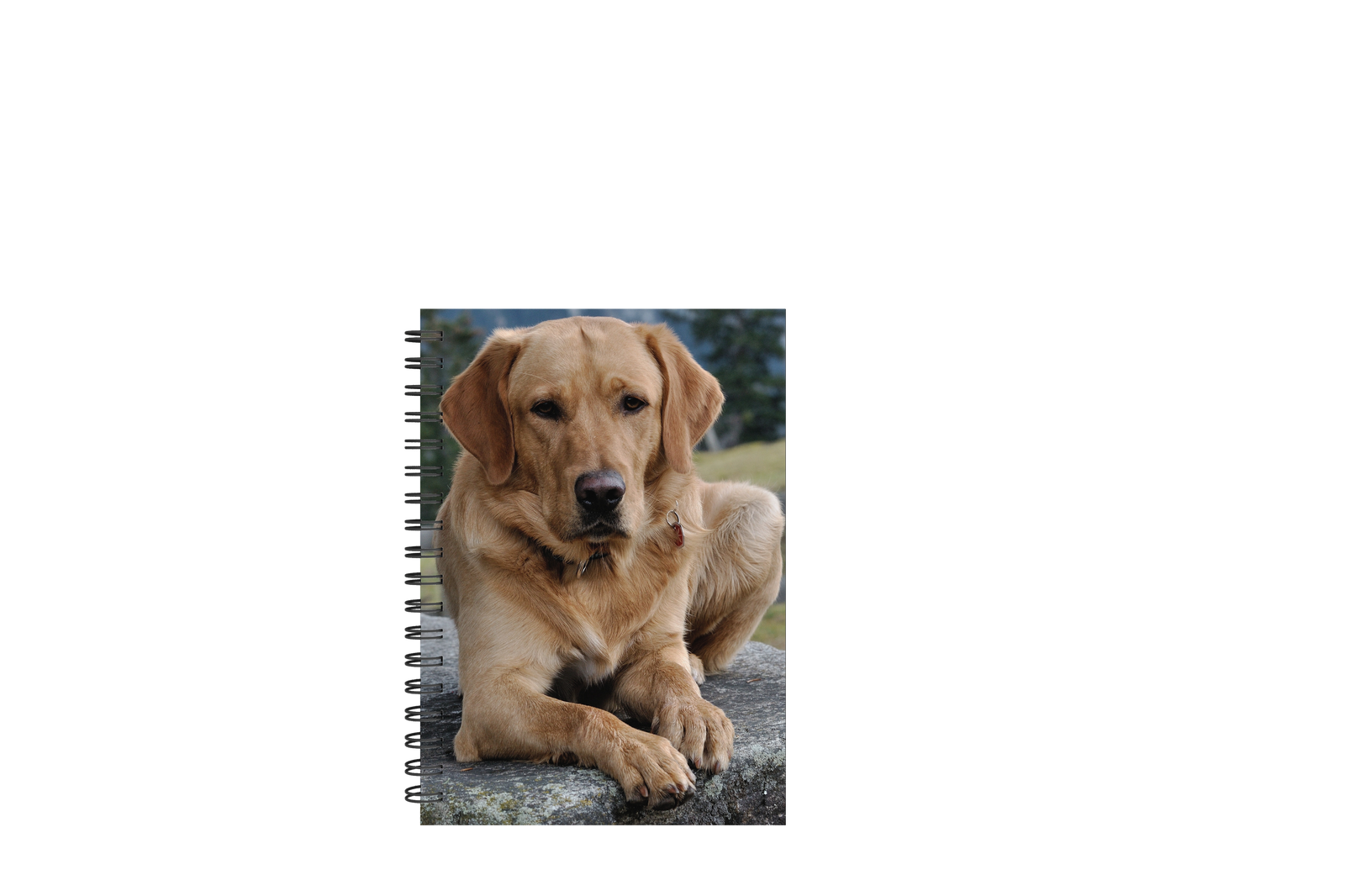 Custom Photo Notebook, Personalised Notebook, Your Design or Photo Notebook - Craftellery