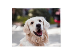 Personalised Photo Canvas – Custom Wall Art & Unique Photo Gift A1 A2 A3 A4