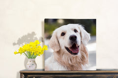 Personalised Photo Canvas – Custom Wall Art & Unique Photo Gift A1 A2 A3 A4