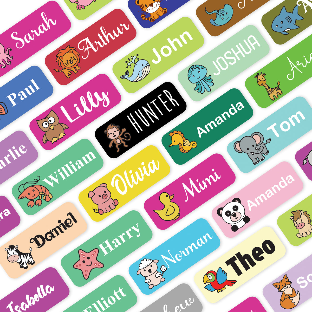 School Labels or Stickers